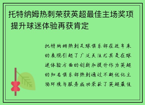 托特纳姆热刺荣获英超最佳主场奖项 提升球迷体验再获肯定